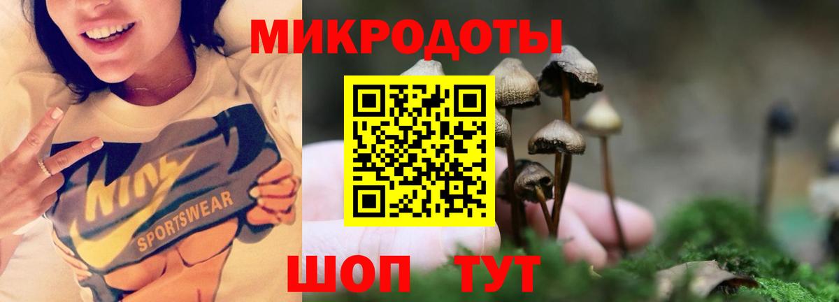 Псилоцибиновые грибы Psilocybine cubensis  Вход с VPN  Химки 